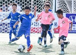 博彩行业的数字化转型（博彩业的数字化革新）