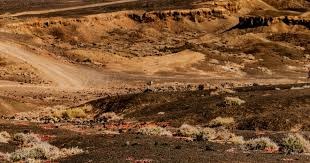 真有钱！切尔西或豪掷1.35亿镑挖巴西巨星，皇马卖掉他或争抢沃顿